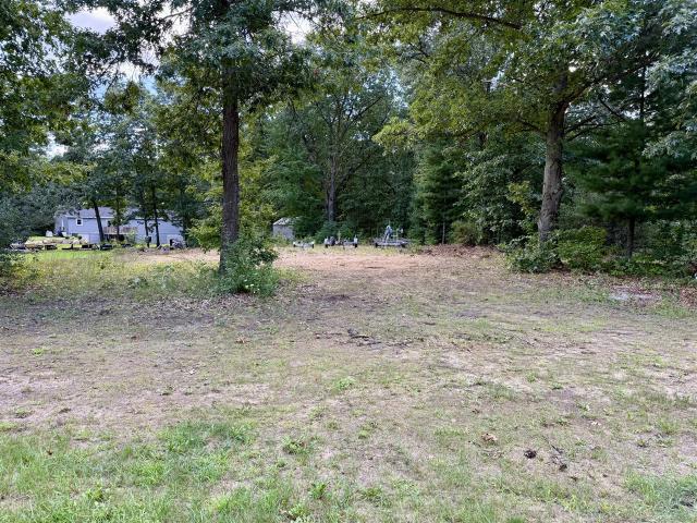 Land for sale in Ionia, Michigan