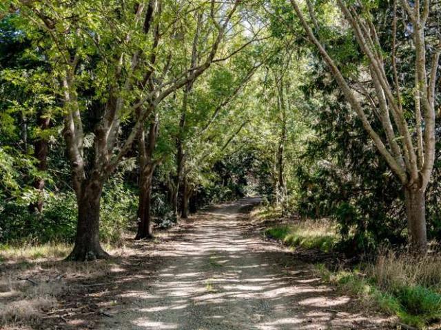 Property for sale in Otakou