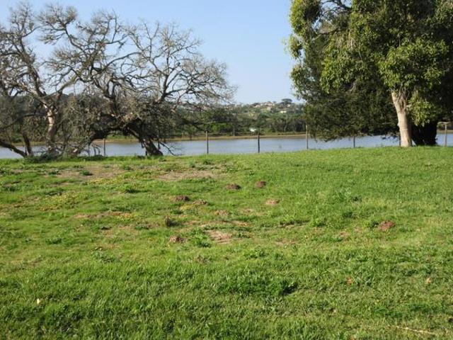 Land for sale in Bushmans River Mouth, Eastern Cape