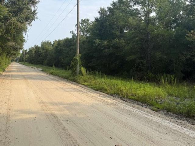 Land for sale in Mayo, Florida