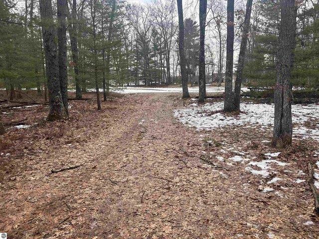 Land for sale in Baldwin, Michigan