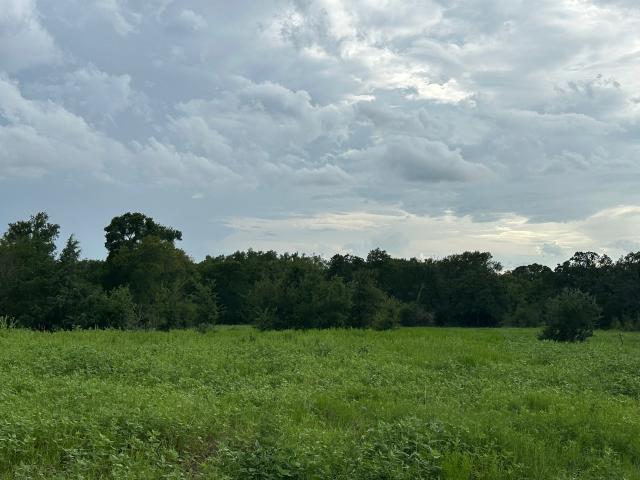 Land for sale in Round Top, Fayette County