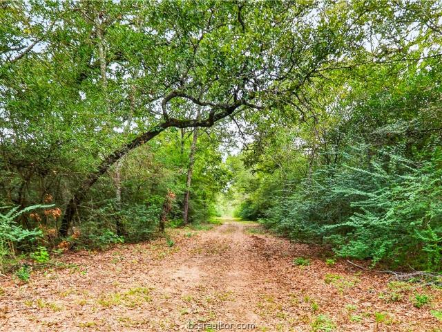 Land for sale in Leona, Leon County