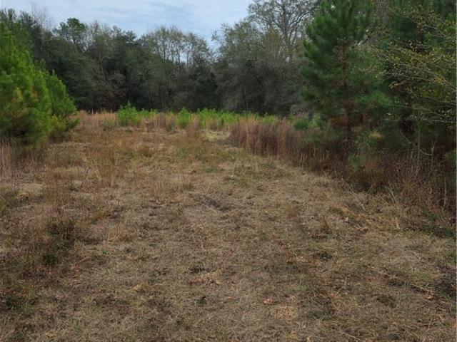 Land for sale in Brooklet, Bulloch County