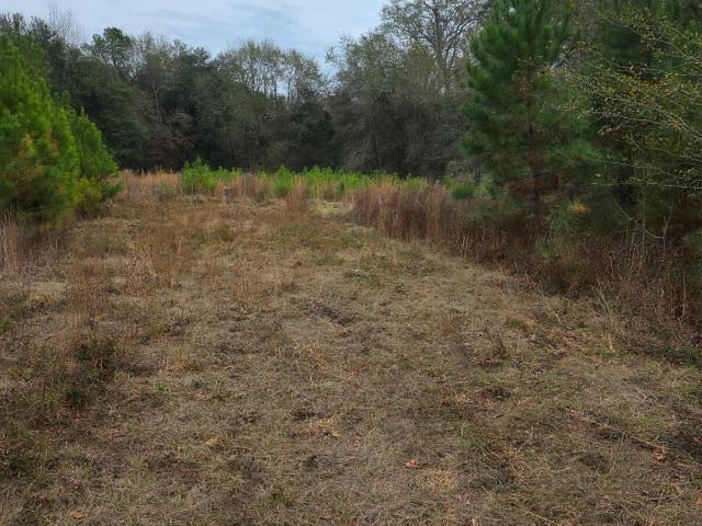 Land for sale in Brooklet, Bulloch County