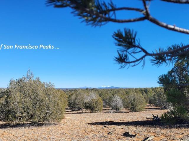 Land for sale in Williams, Arizona