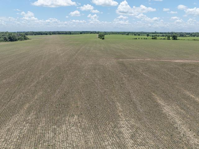 Farm for sale in Lockwood, Missouri
