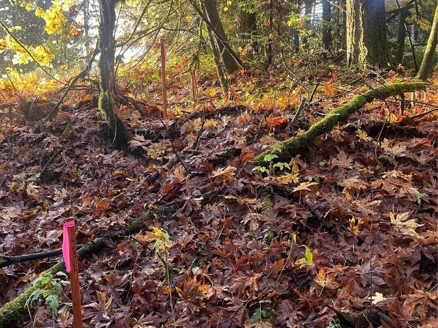 Land for sale in Port Orchard, Washington