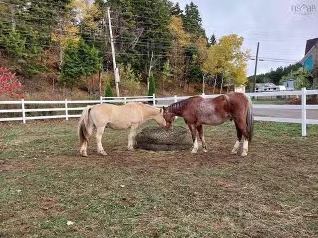 House for sale in Fox River, Nova Scotia
