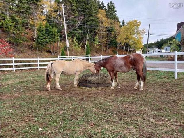 Farm for sale in Fox River, Nova Scotia