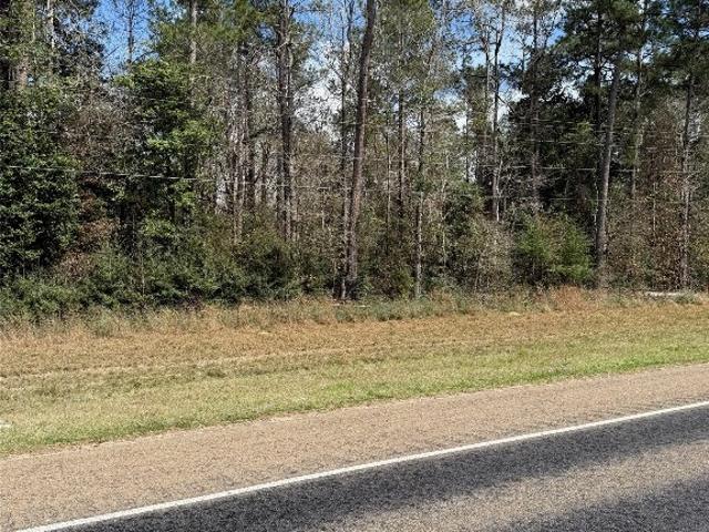 Land for sale in Newton, Texas