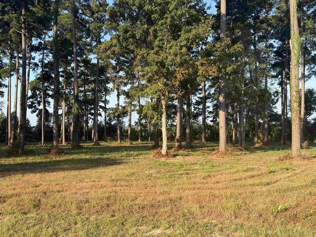 Land for sale in Jasper, Texas