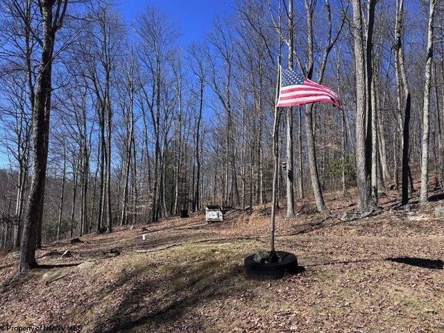 Farm for sale in Tallmansville, West Virginia