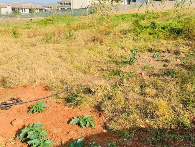 Land for sale in Ehlanzeni, Mpumalanga