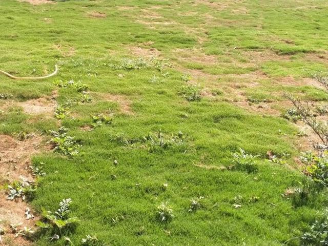 Land for sale in Poona, National Capital Territory Of Delhi