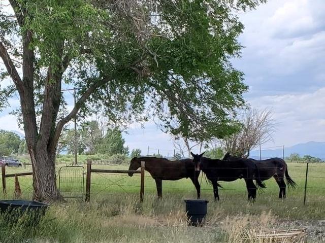 House for sale in Chaffee, Colorado