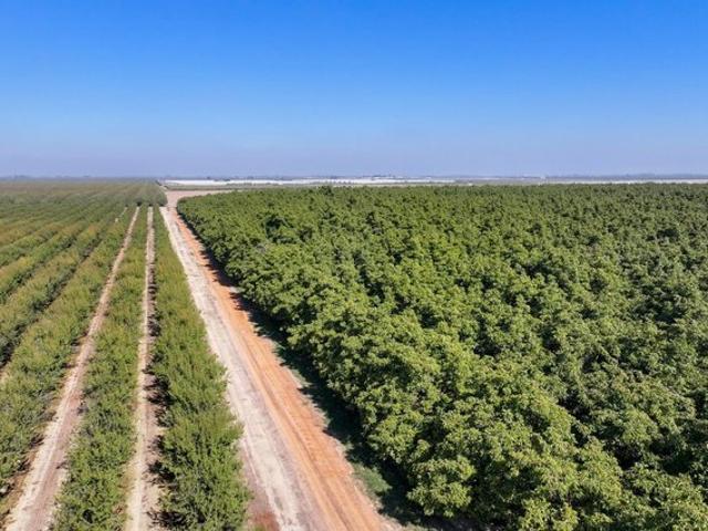 Farm for sale in Laton, California