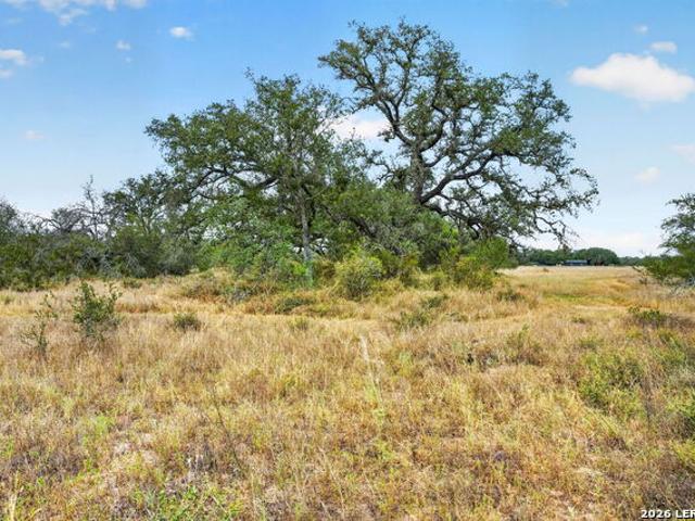 Farm for sale in Poteet, Texas