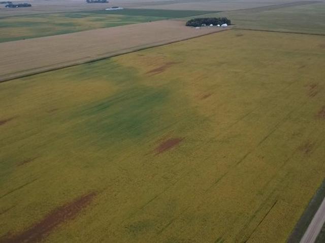 Farm for sale in Danube, Renville County