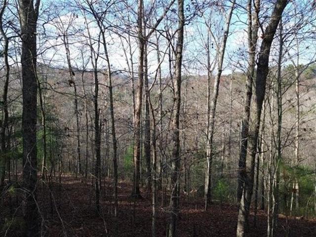 Land for sale in Gordon, Georgia