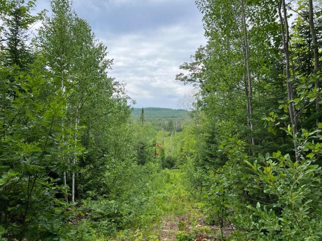 Land for sale in Town of Bayfield, Bayfield County