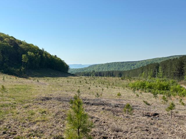 Land for sale in Tennessee