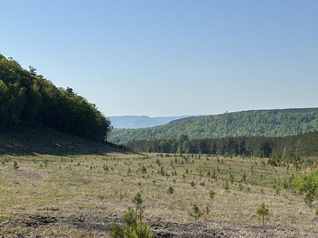 Land for sale in Tennessee