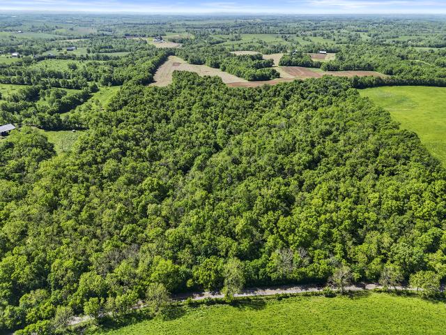 Land for sale in Bath, Kentucky
