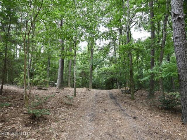 Land for sale in Woodville, Mississippi