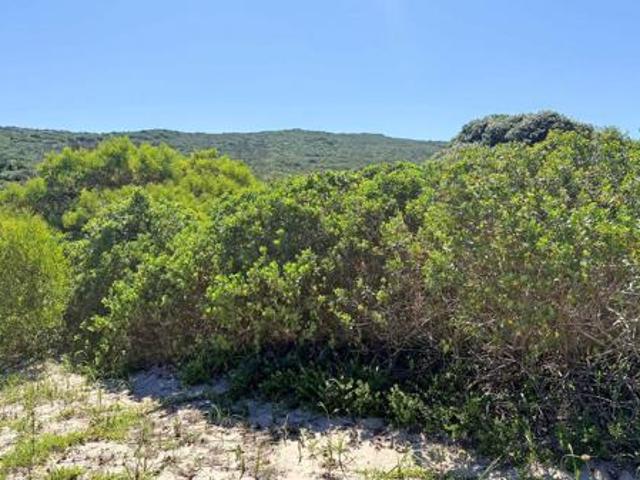 Land for sale in Eastern Cape