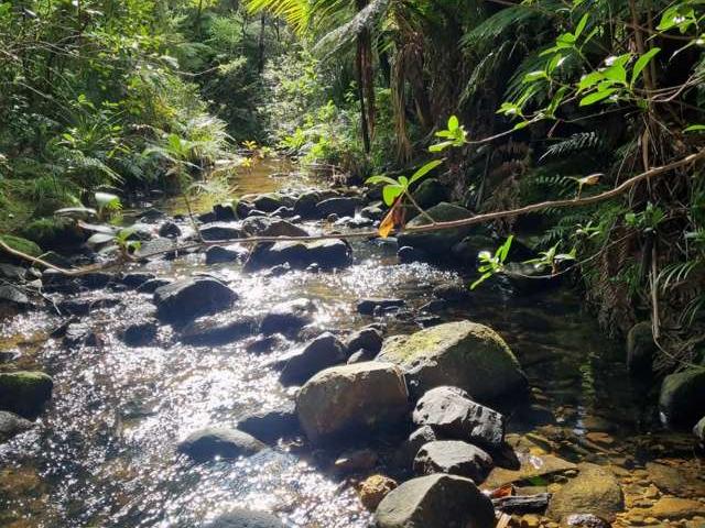 Land for sale in Waikawau, Waikato