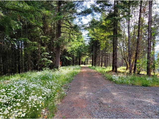Land for sale in Oregonia