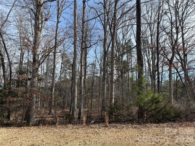 Land for sale in Clover, South Carolina