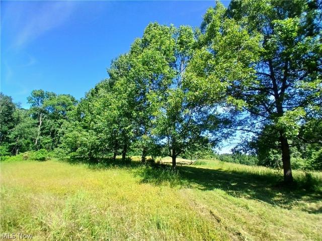 Land for sale in Bergholz, Ohio