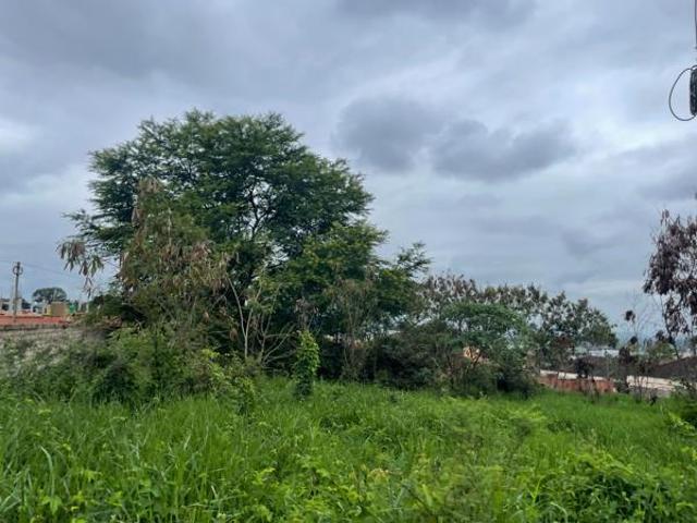 Land for sale in Mopani, Limpopo