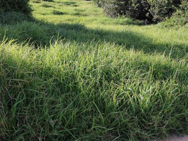 Land for sale in Groot Brak Rivier, Western Cape