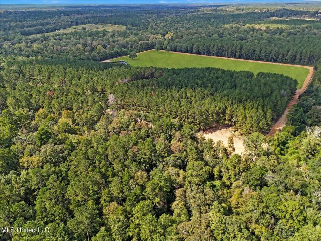 Property for sale in Tylertown, Mississippi