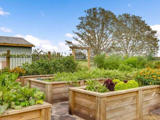 Property for sale in Matamata, Waikato