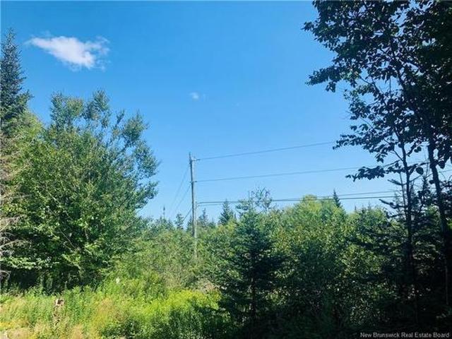 Land for sale in Charlotte, New Brunswick