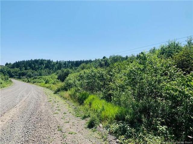 Land for sale in Charlotte, New Brunswick