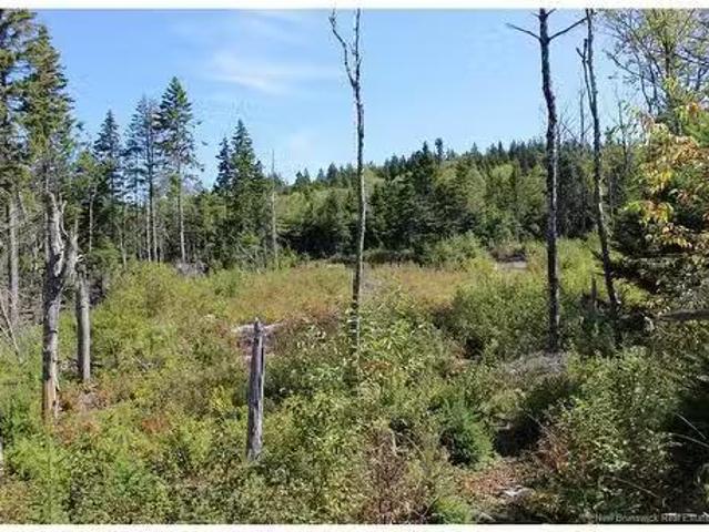 House for sale in Charlotte, New Brunswick
