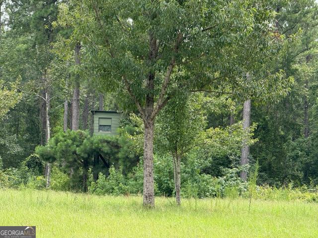 Land for sale in Sparta, Georgia