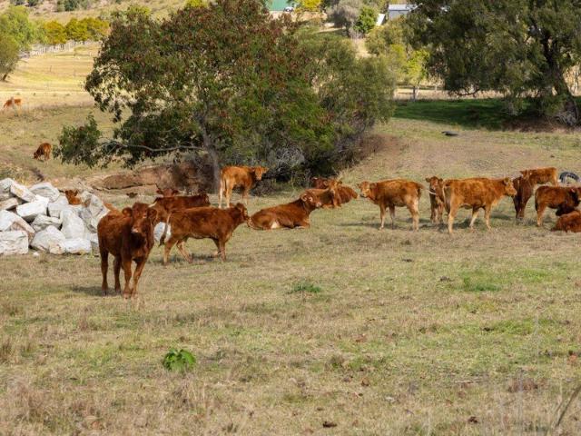 Acreage for sale in Blanchview, Queensland