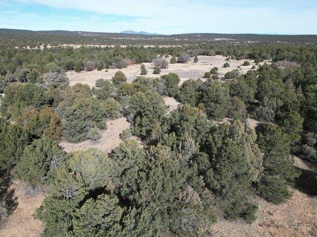 Land for sale in Placitas, New Mexico