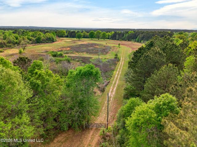 Land for sale in Lumberton, Mississippi