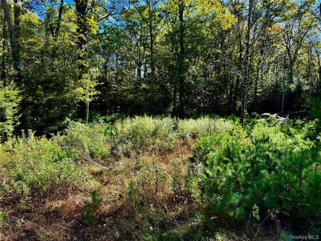 Land for sale in Catskill, New York