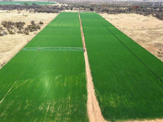 Farm for sale in Limpopo