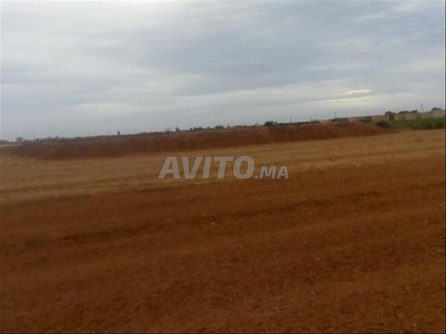 Propriété vente à Sidi Bennour, Gharb-Chrarda-Beni Hssen