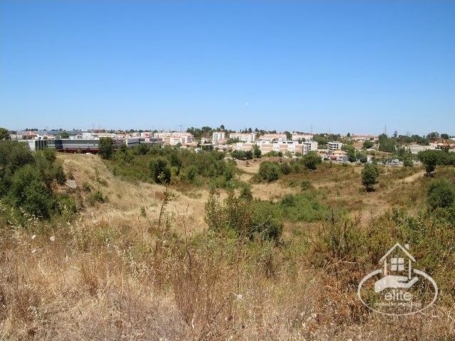 Terreno venda em Vale de Cobro, Setúbal