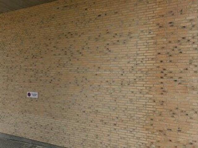 Lejlighed til leje i Aalborg, Brønderslev-Dronninglund
